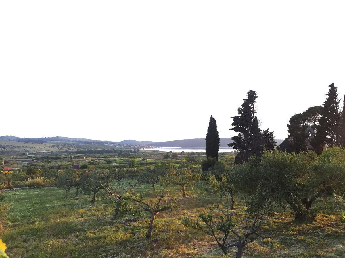 Holiday Home Olive شيبينيك المظهر الخارجي الصورة
