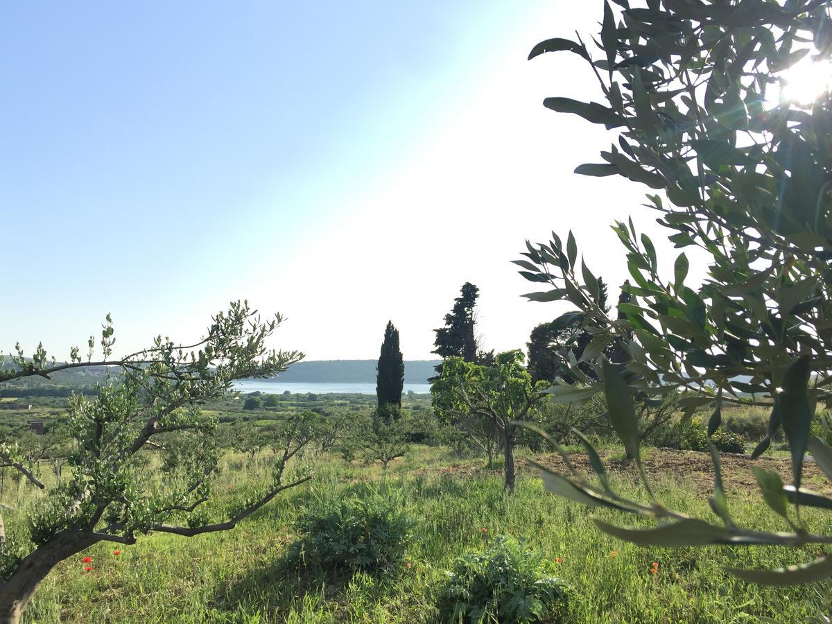 Holiday Home Olive شيبينيك المظهر الخارجي الصورة