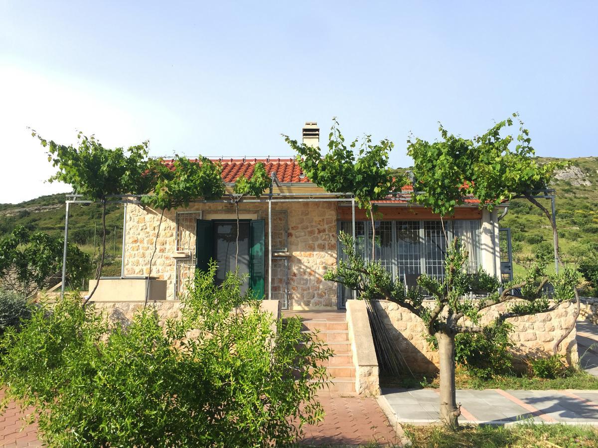 Holiday Home Olive شيبينيك المظهر الخارجي الصورة